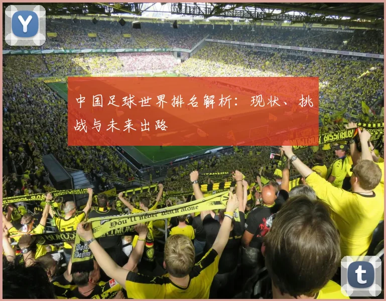 中国足球世界排名解析：现状、挑战与未来出路