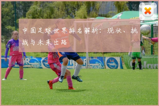 中国足球世界排名解析：现状、挑战与未来出路