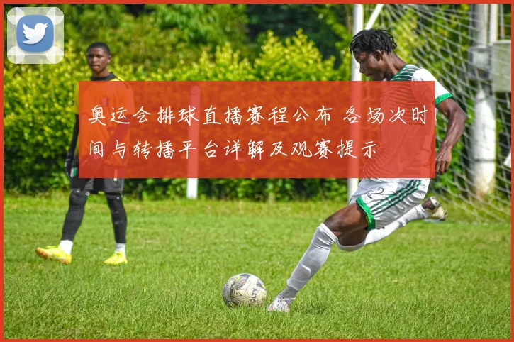 奥运会排球直播赛程公布 各场次时间与转播平台详解及观赛提示