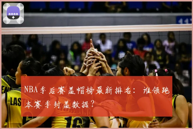 NBA季后赛盖帽榜最新排名：谁领跑本赛季封盖数据？