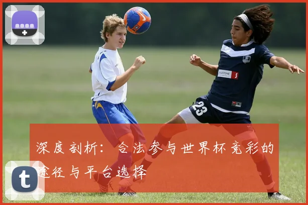 深度剖析：合法参与世界杯竞彩的途径与平台选择