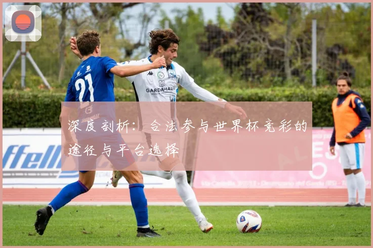 深度剖析：合法参与世界杯竞彩的途径与平台选择