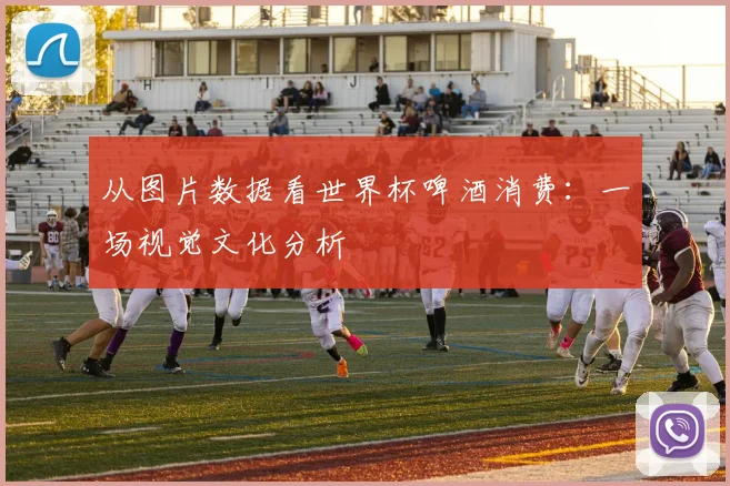 从图片数据看世界杯啤酒消费:一场视觉文化分析