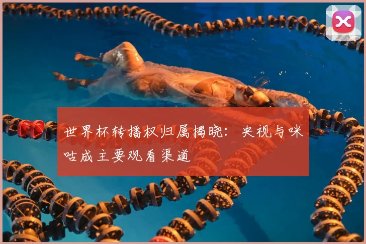 世界杯转播权归属揭晓:央视与咪咕成主要观看渠道