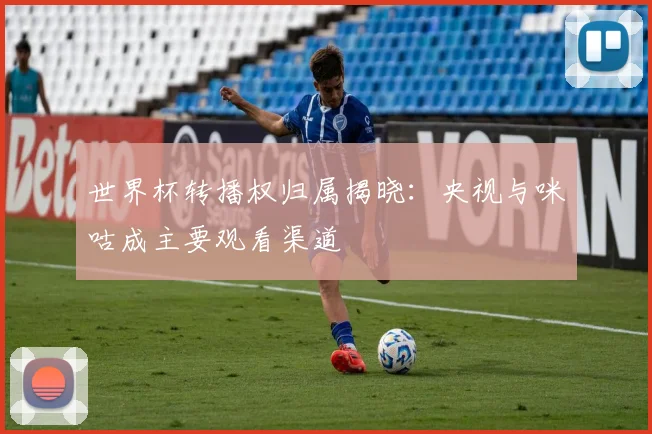 世界杯转播权归属揭晓:央视与咪咕成主要观看渠道
