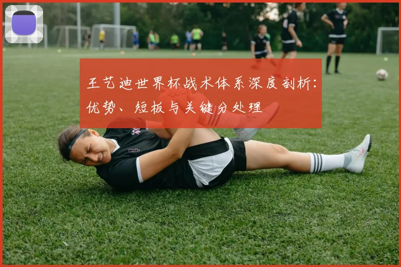 王艺迪世界杯战术体系深度剖析:优势、短板与关键分处理